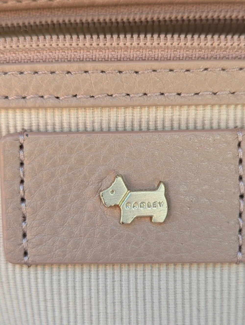 Radley London | Fountain Road Pebbled Leather Backpack Dusty Pink Beige